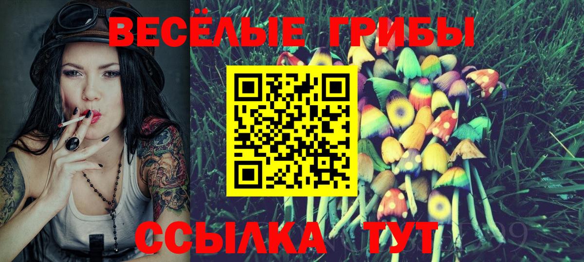 Первоуральск  Галлюциногенные грибы Cubensis  Вход с VPN 